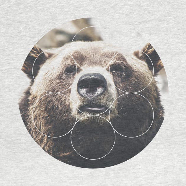 Big Bear Buddy Geometric Photography by deificusArt